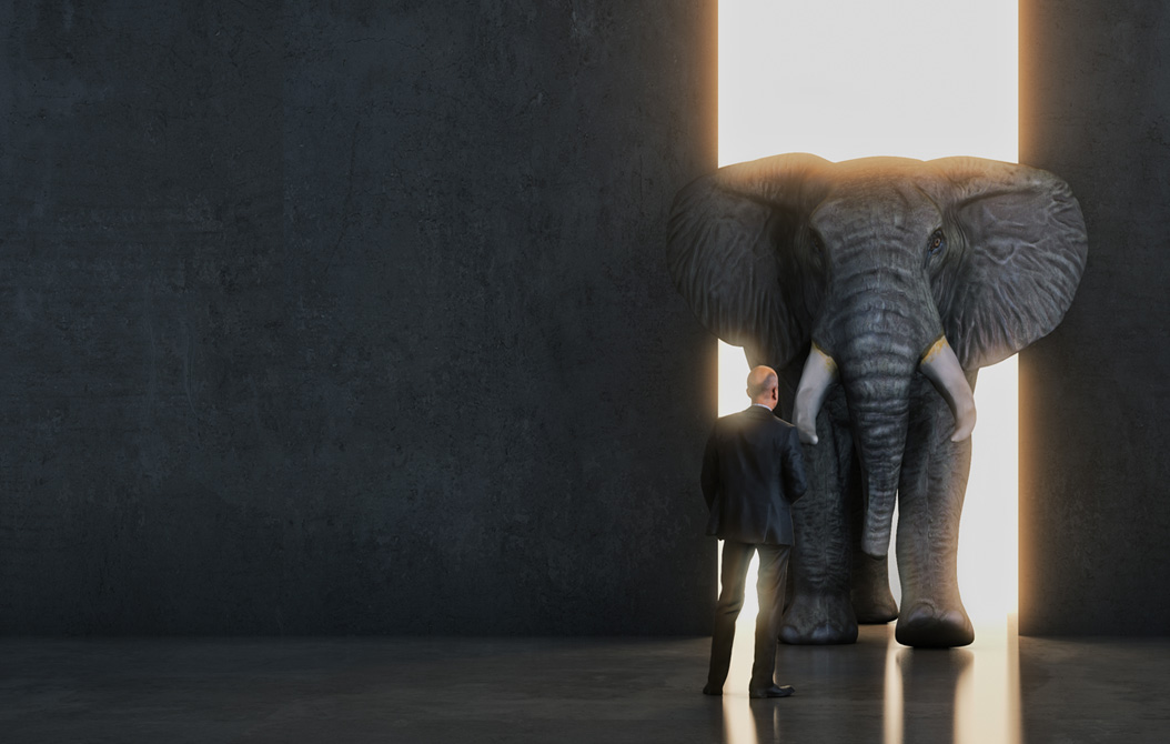 Let’s Talk About the Elephant in the Room: Business Aviation and Sustainability