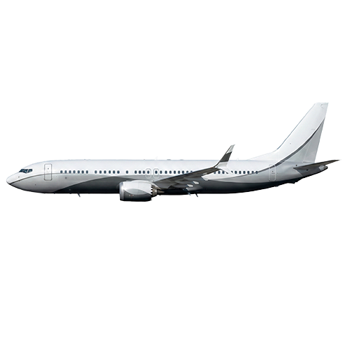 BBJ-787